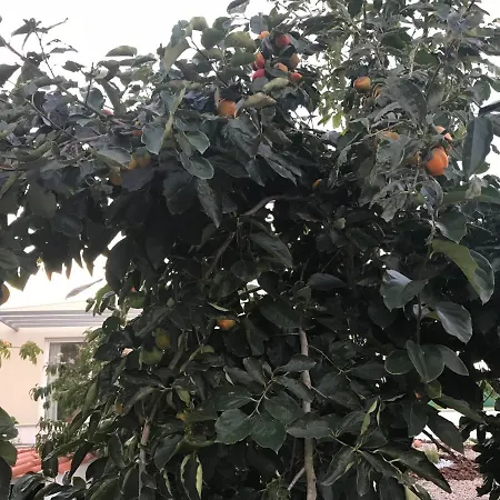 Δωμάτια σε οικογενειακή κατοικία Monte Do Mosteiro *