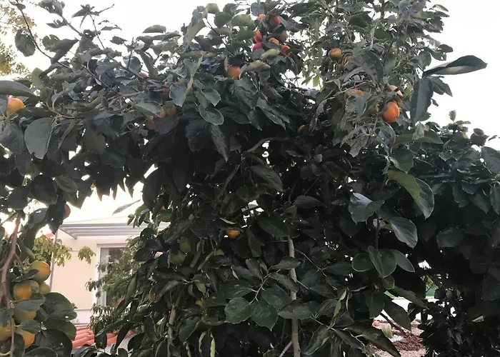 Homestay Monte Do Mosteiro *